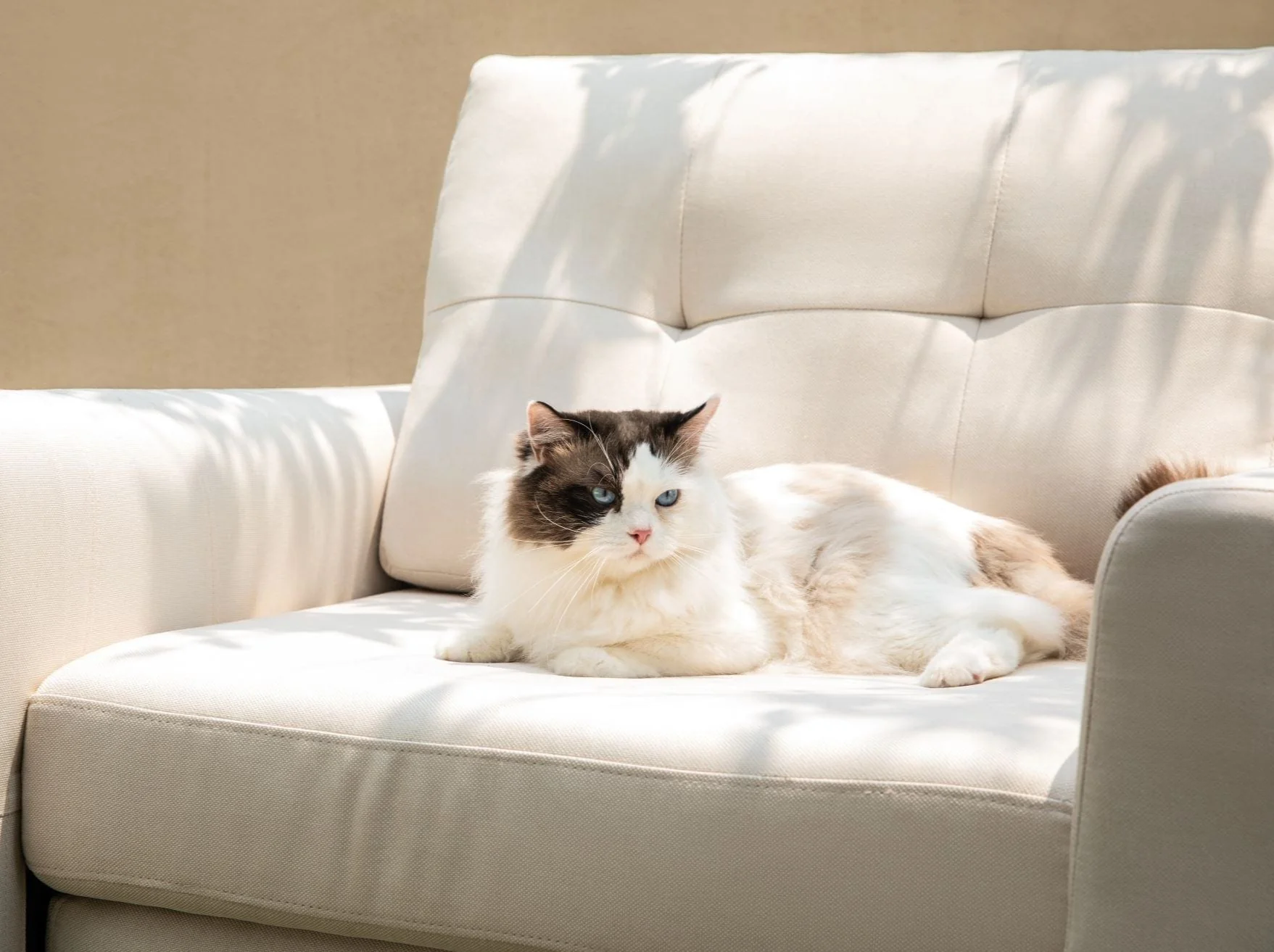 RUBIK III  1 Seat Armchair - Image 14